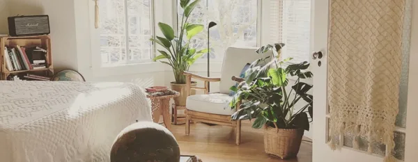 bedroom plants