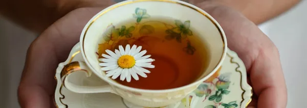 chamomile tea on tea cup
