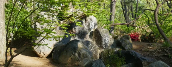 huge rocks in the garden