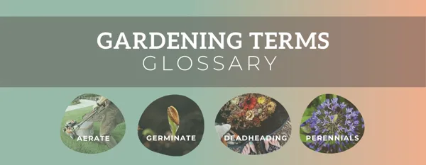 garden terms glossary