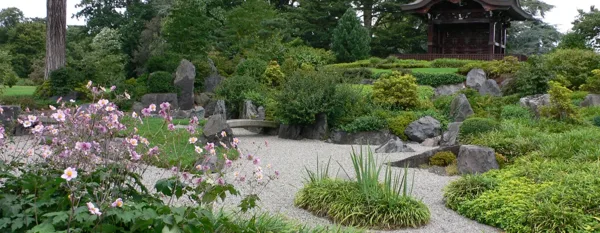 japanese garden with rocks and plants