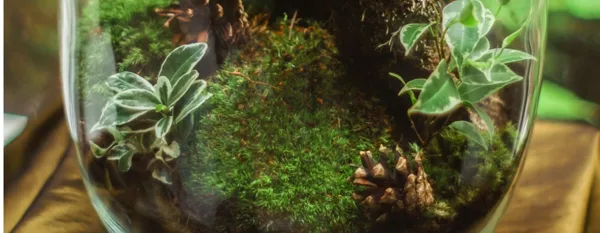 jarrarium