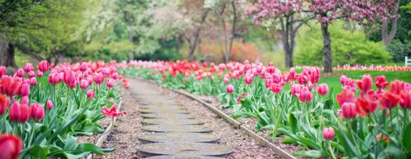 garden edging path