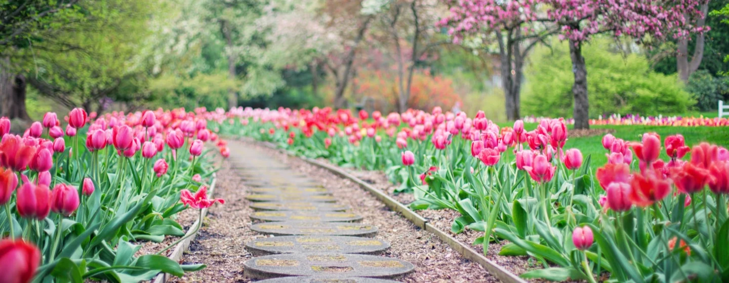 garden edging path