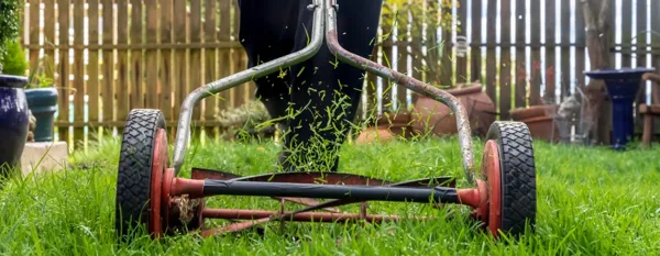 push mower in action on the garden