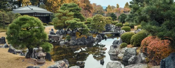relaxing rock garden pond