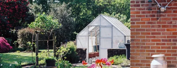 mini green house at home