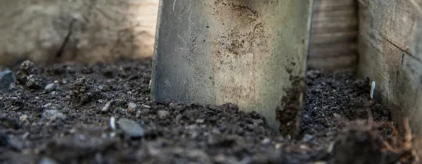 garden soil with a shovel
