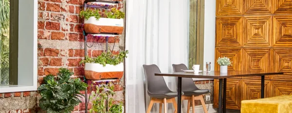indoor vertical garden