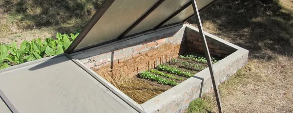 winter gardening preparation
