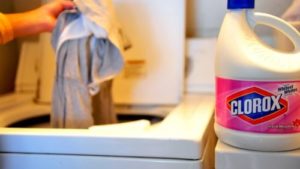 How To Get Rid Of Bed Bugs