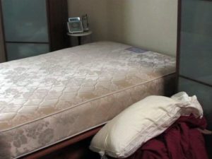 How To Get Rid Of Bed Bugs Bites