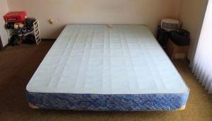 How To Get Rid Of Bed Bugs Bites Bites On Your Skin