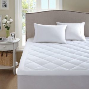 How To Get Rid Of Bed Bugs Bites Fast