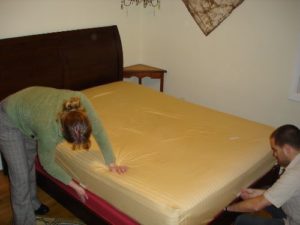 How To Get Rid Of Bed Bugs Cheap And Fast