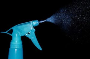 How To Get Rid Of Bed Bugs In Clothes