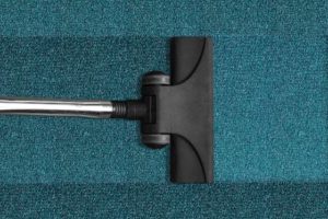 How To Get Rid Of Bed Bugs On Couch