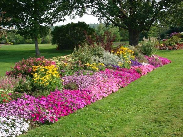 Creative Gardening Designs And Ideas, Flowers Gardens And Landscapes
