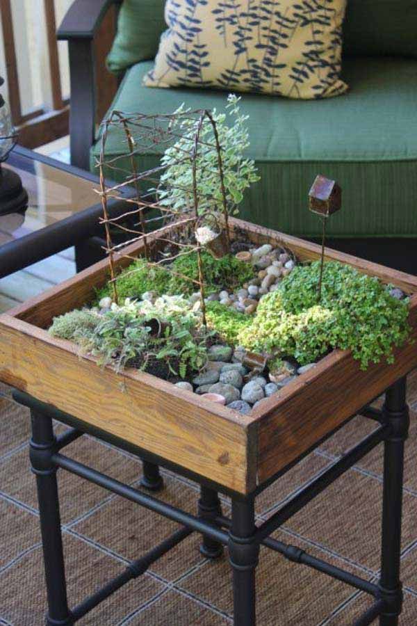 Indoor Container Gardening