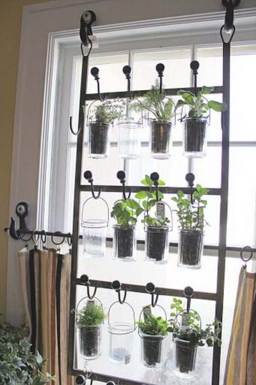 15 Best Indoor Gardening Ideas for Beginners and Advanced Gardeners