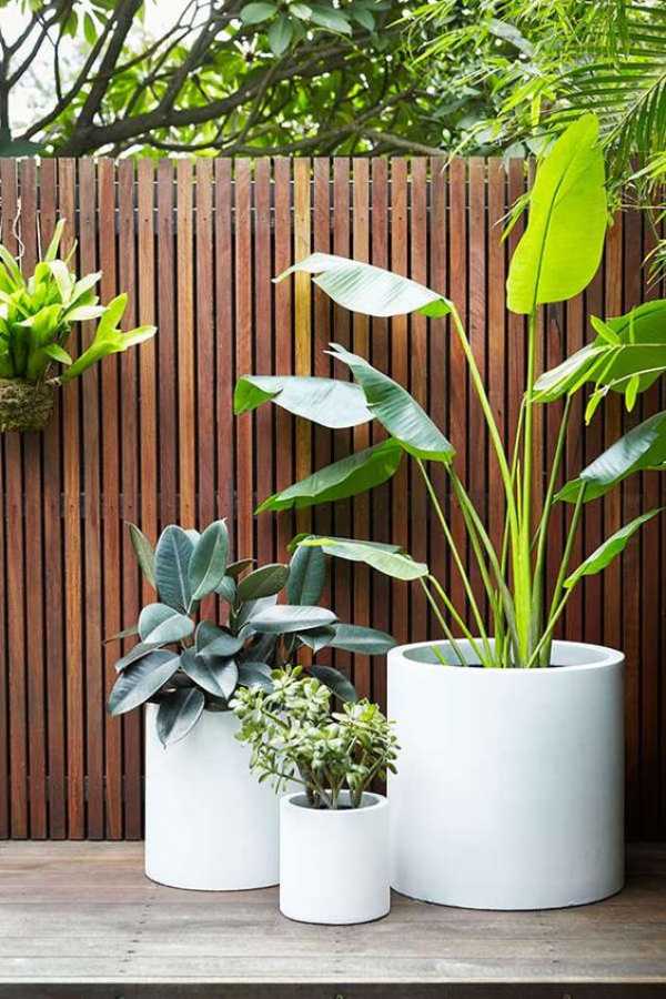 Stylish Plant Pots - Best Pots for House Plants