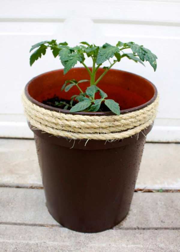 Plant Pots Black