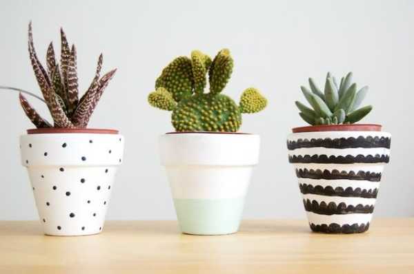 Plant Pots Decorative