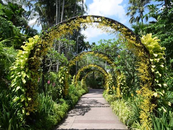 Singapore Botanic Gardens