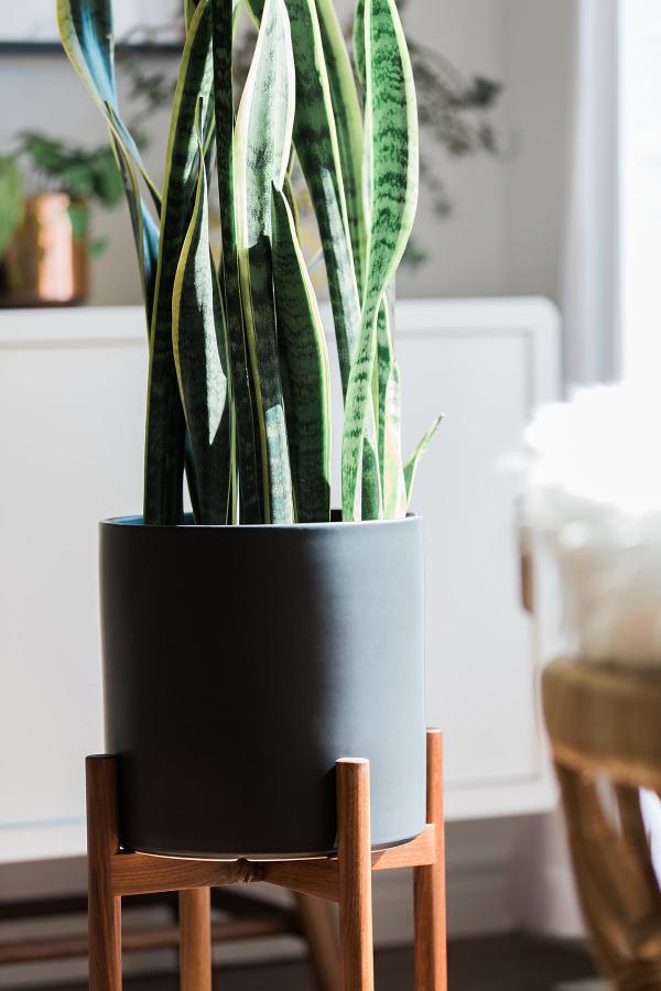 Plant Pots With Stand