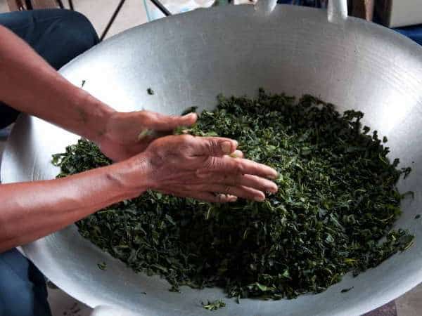 Rolling Tea Leaves