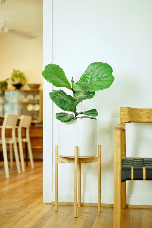 Tall Plant Stand