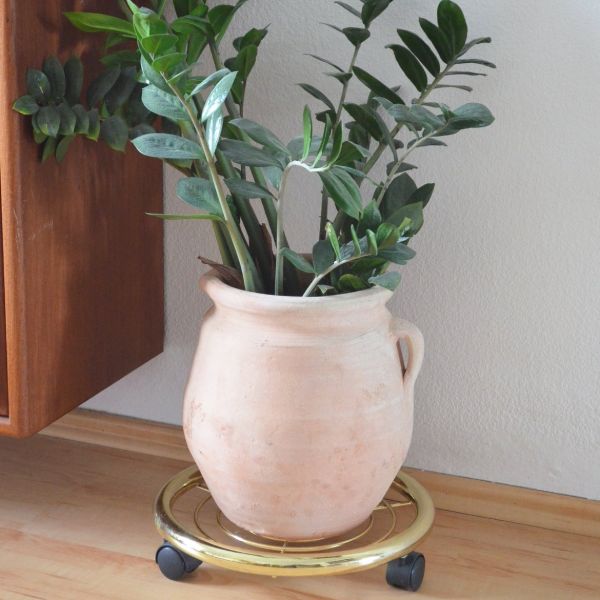 brass plant stands