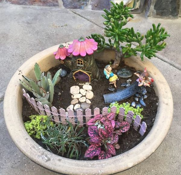 Fairy Garden in a Pot