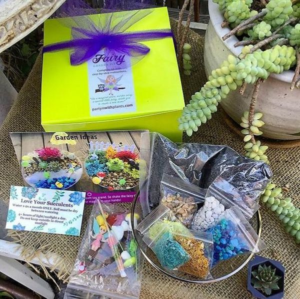 Fairy Garden Kit