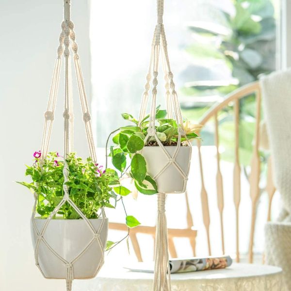 hanging plant stand indoor