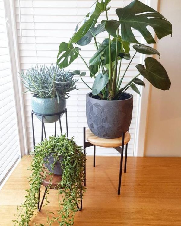 Plant Stand Black