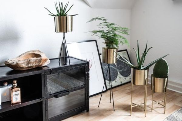 Plant Stand Brass