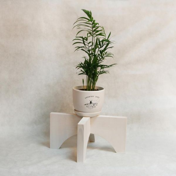 plant stand homebase