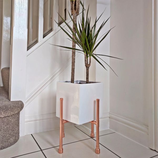 plant stand indoor modern