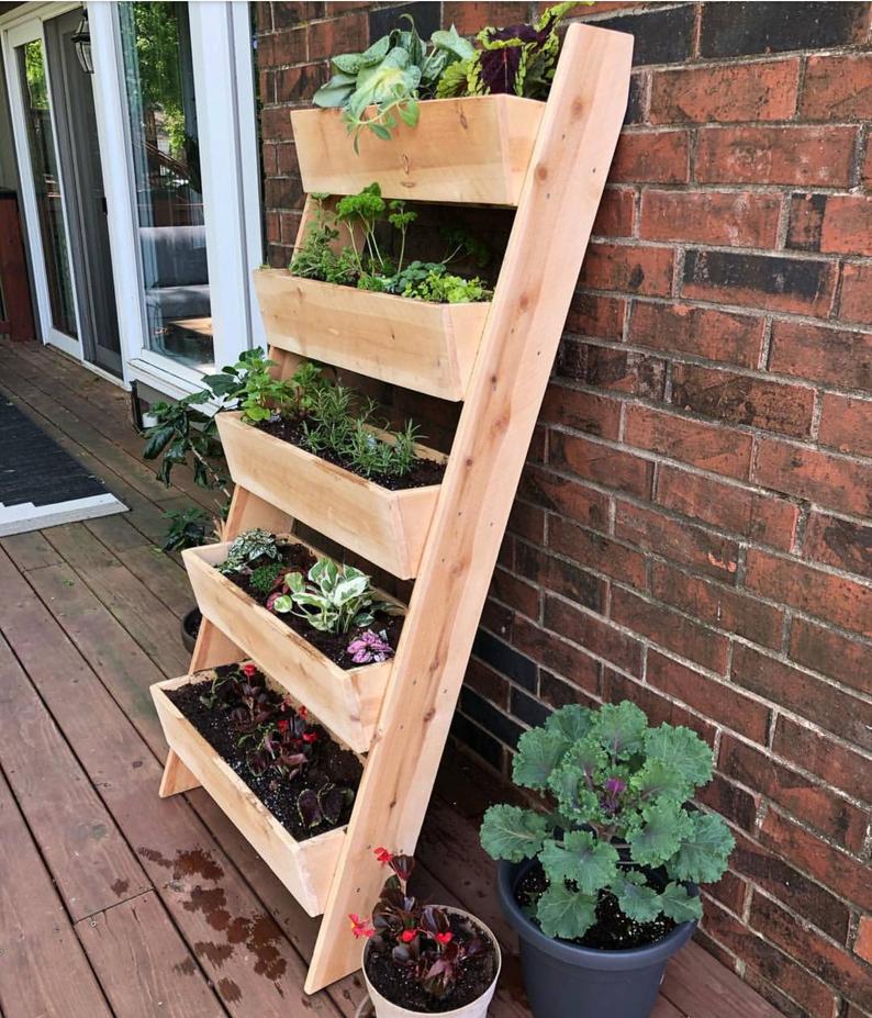 plant stand outdoor