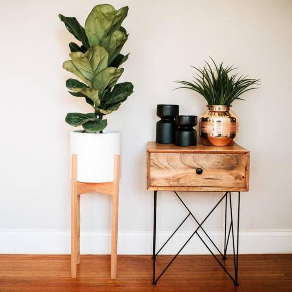 Plant Stand