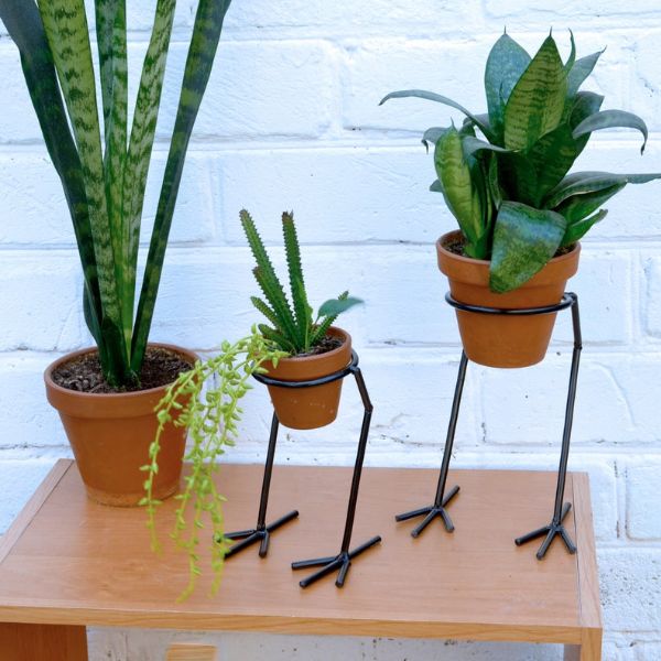 unique plant stand