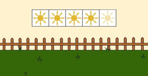 How to Grow Chamomile Outdoors Step 1