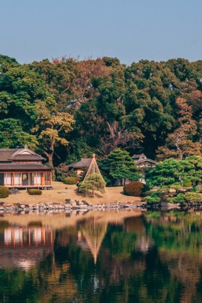 japanese garden view
