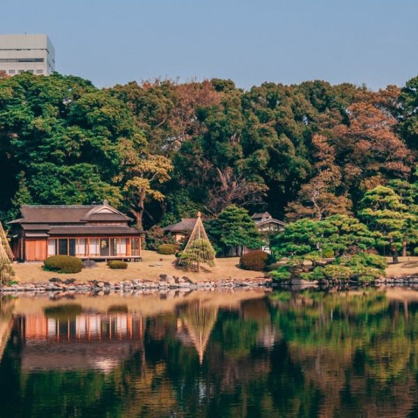 japanese garden view