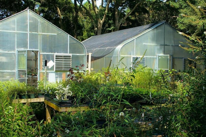 ecofriendly greenhouse