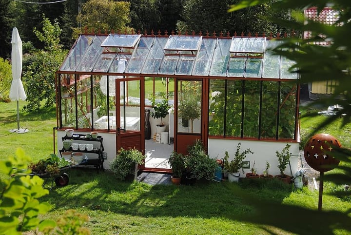 greenhouse plants dont need pesticides