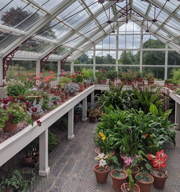 inside a greenshouse