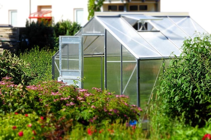 mini greenhouse in a small garden