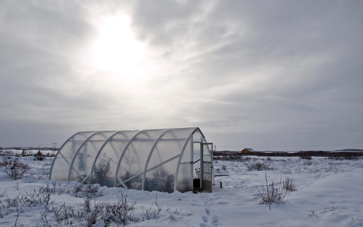 outside a greenhouse in winter